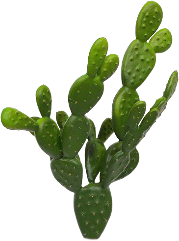 Künstliches Opuntia Kaktus Bukett 30 cm grün